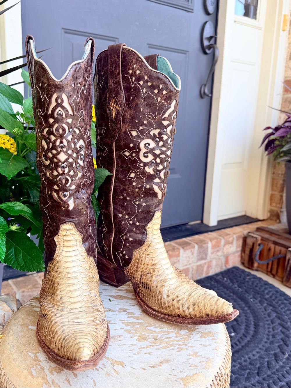 Very RARE Corral Python Ombré Laser Inlay Grommet Heeled Leather Vintage Boots